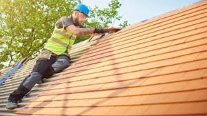 Best Roof Moss and Algae Removal  in East Peoria, IL